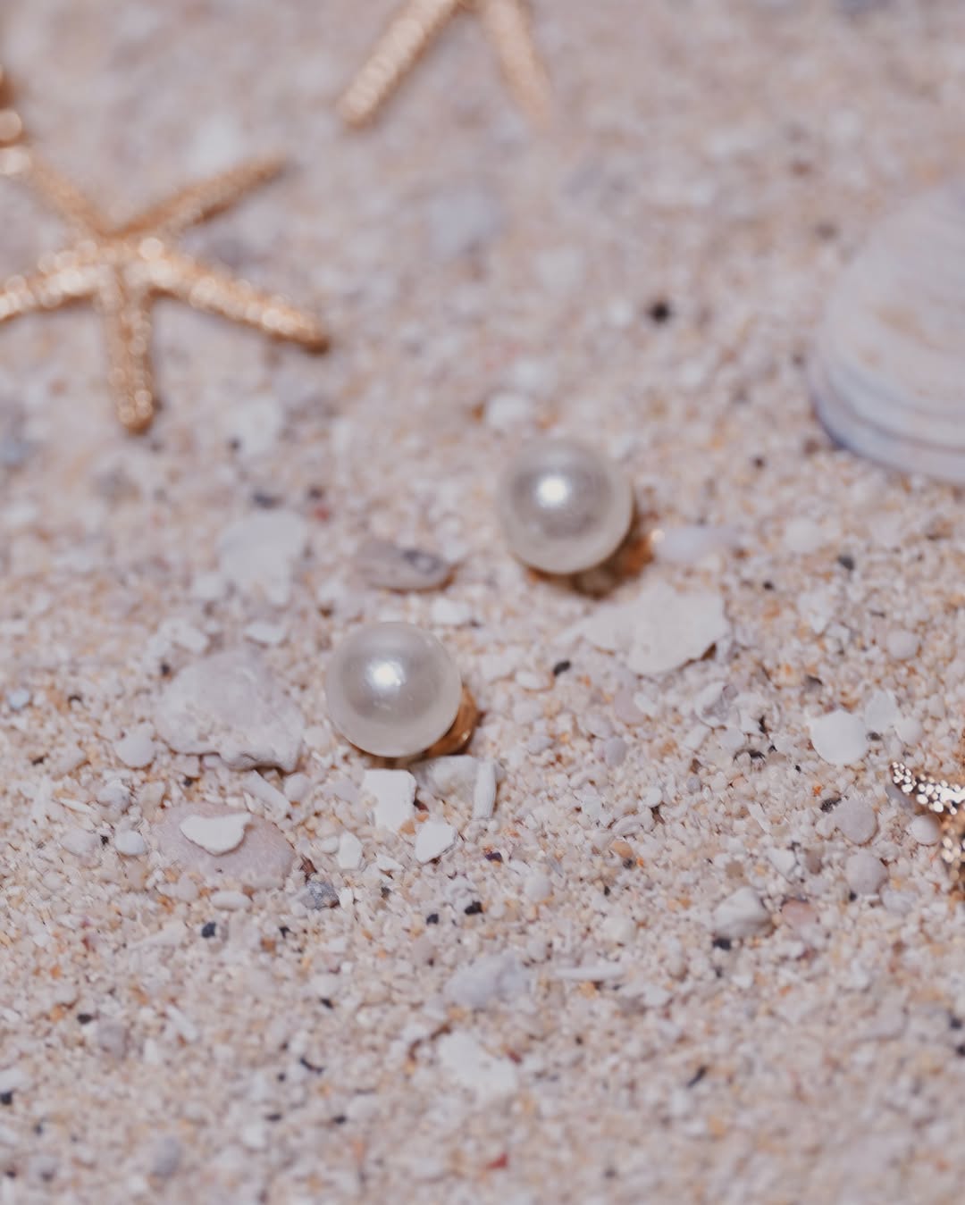 The Island Essentials Kit