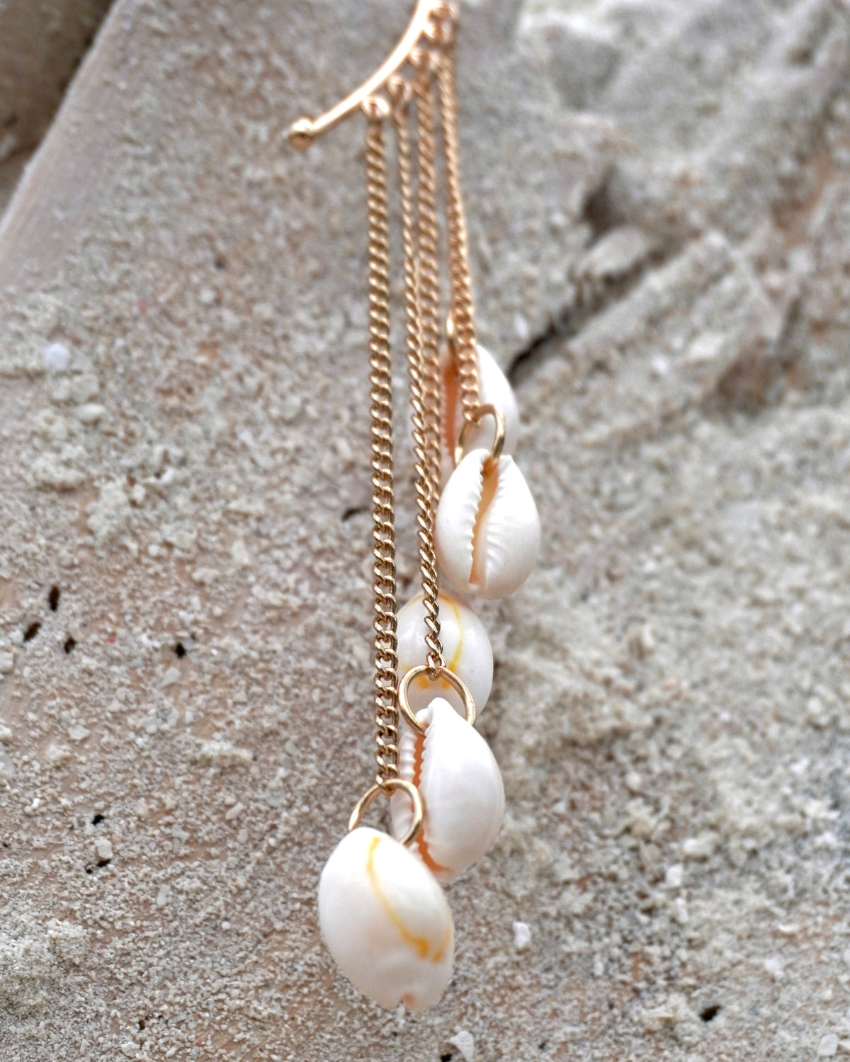 The Swinging Cowrie