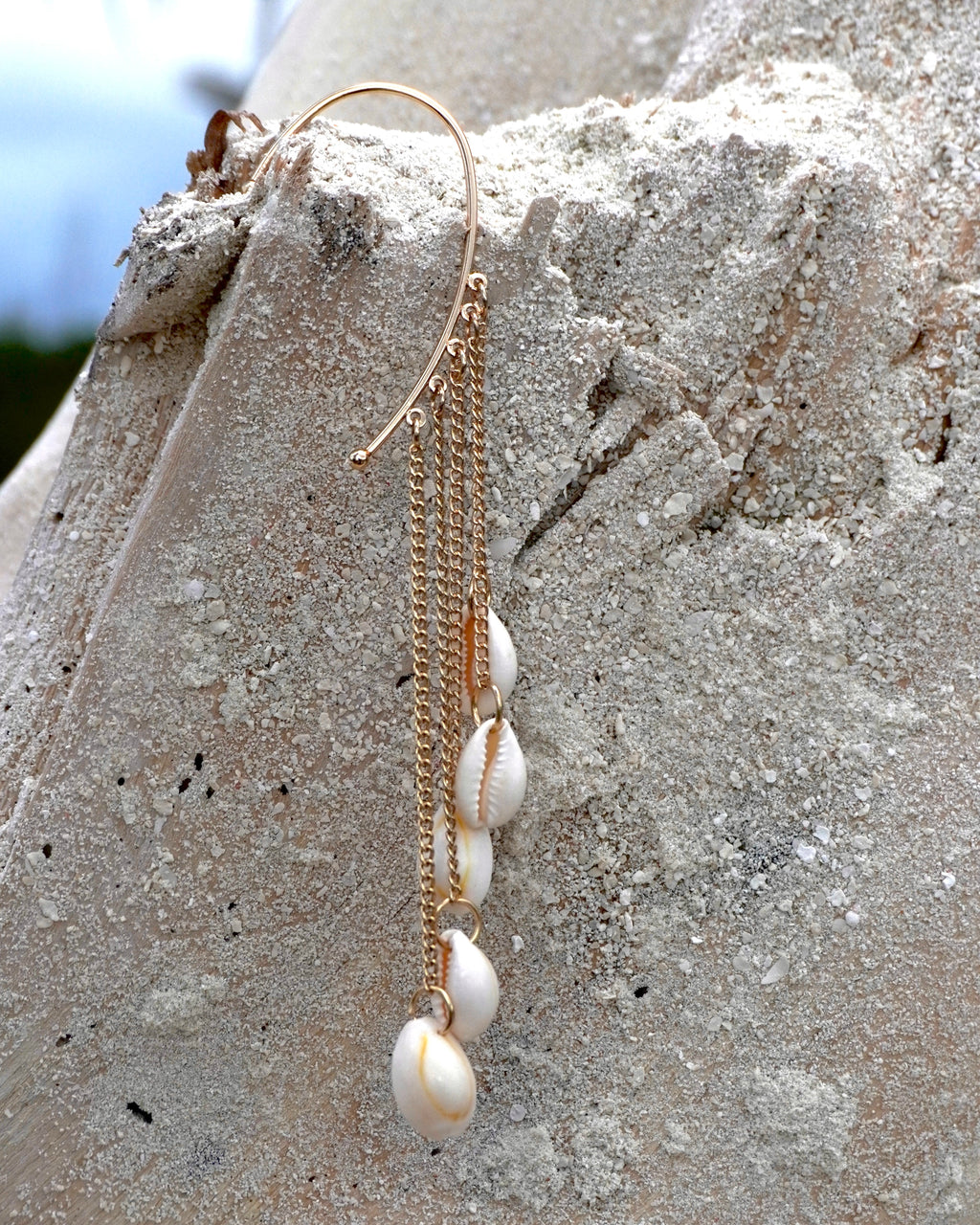 The Swinging Cowrie