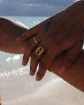 The Cowrie Seal