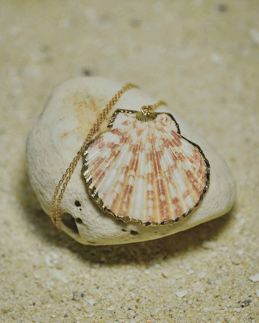 The Striped Clam