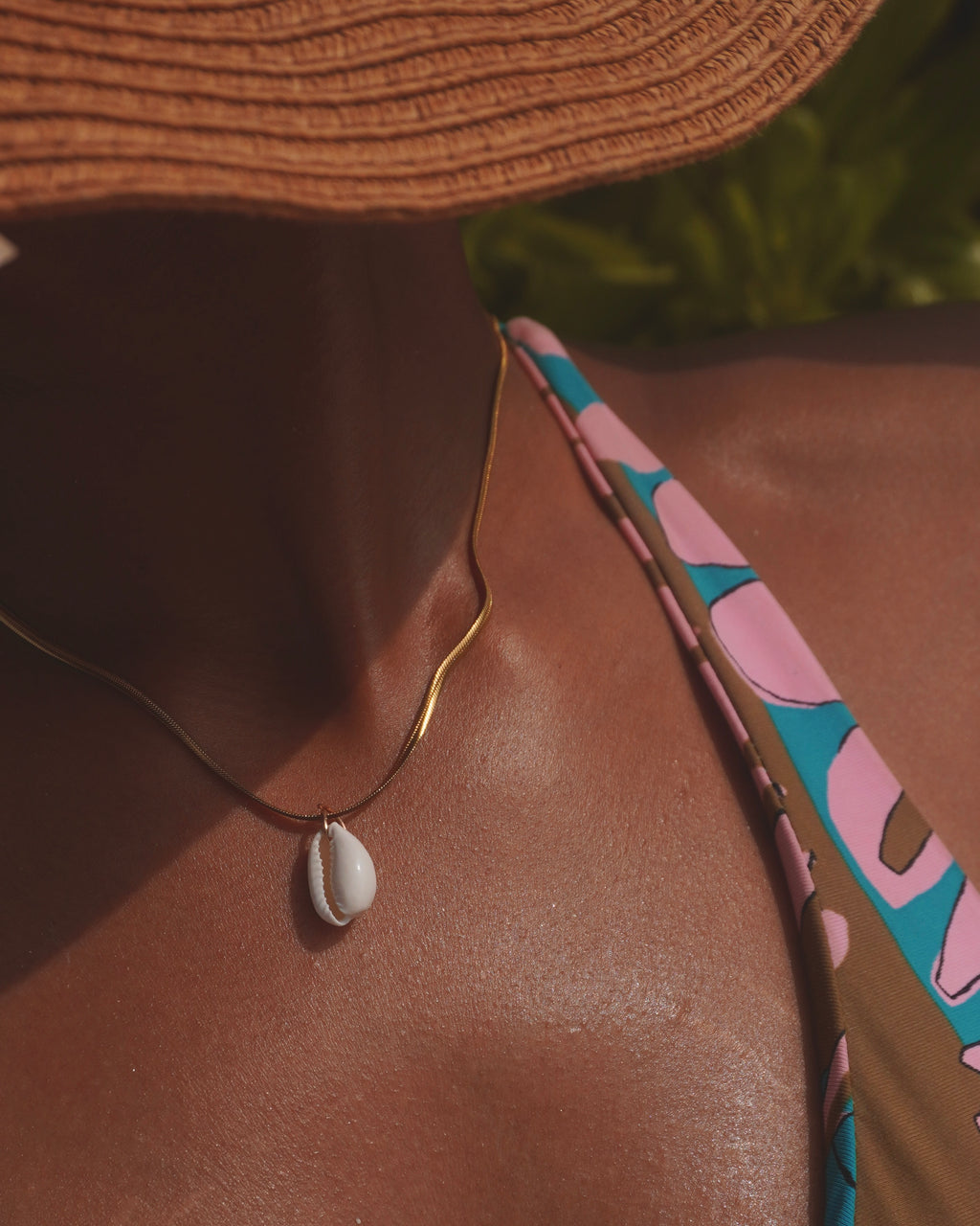 The Elegant Cowrie