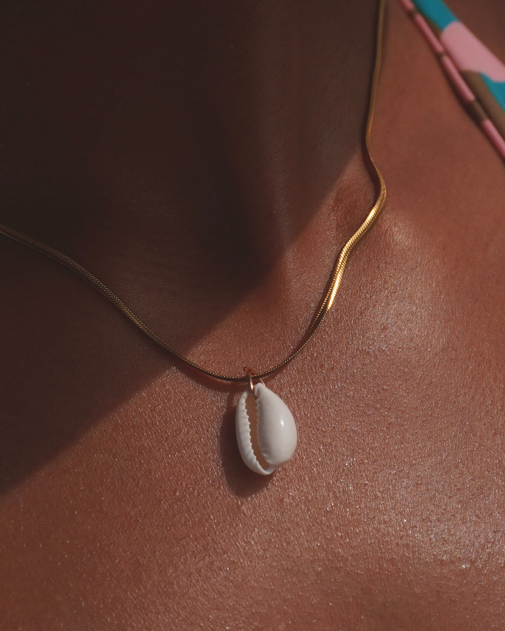 The Elegant Cowrie