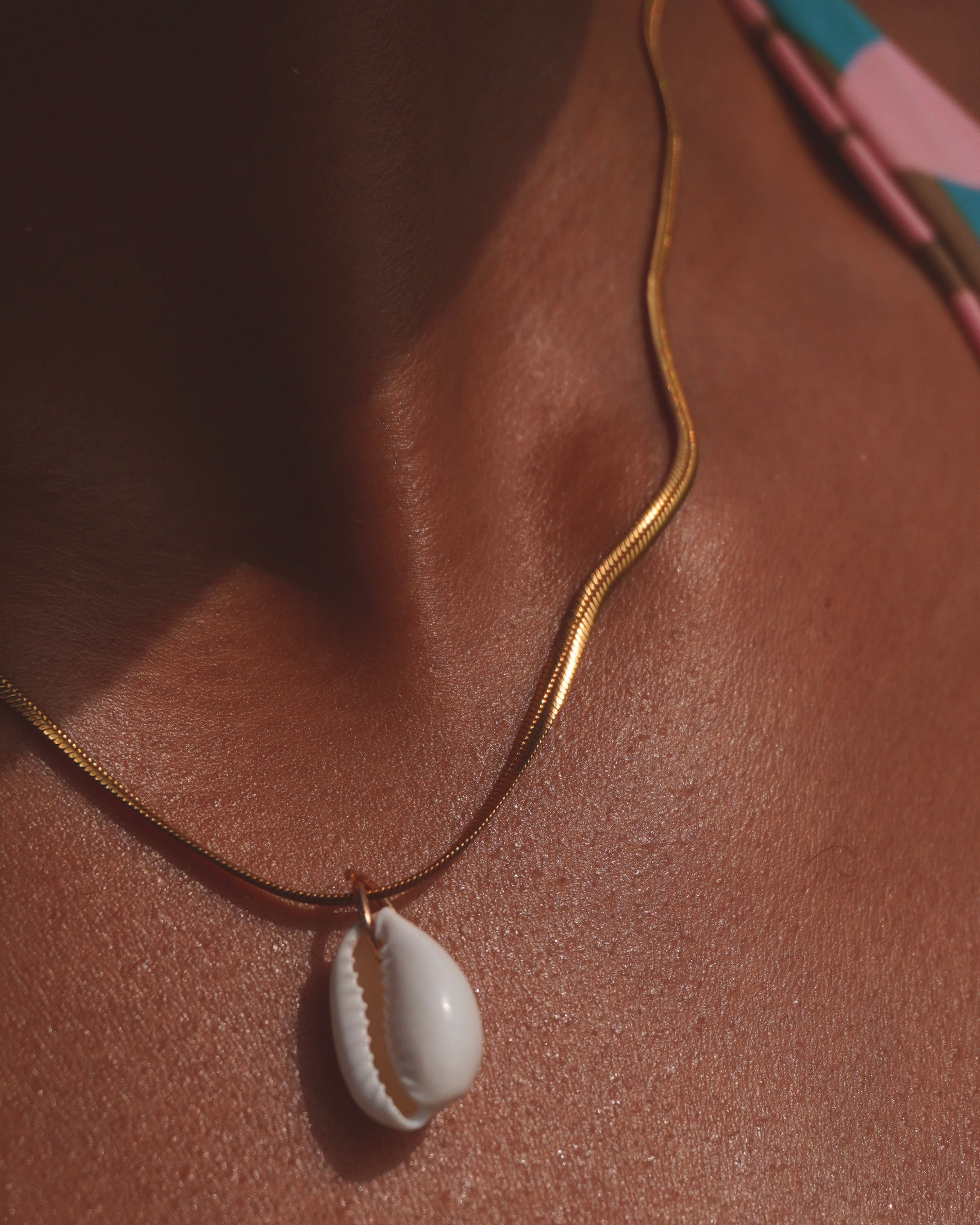 The Elegant Cowrie