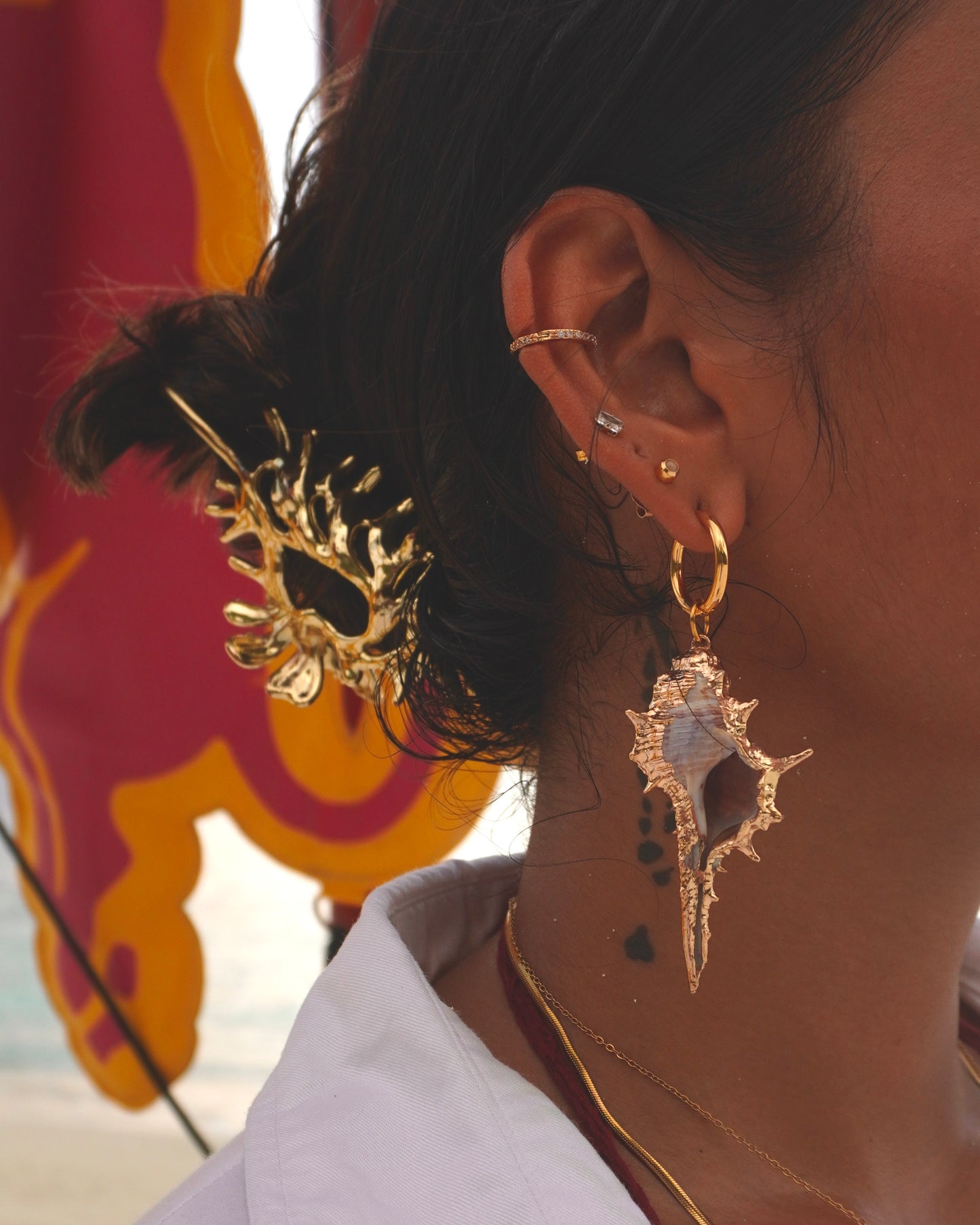 The Conch Drop