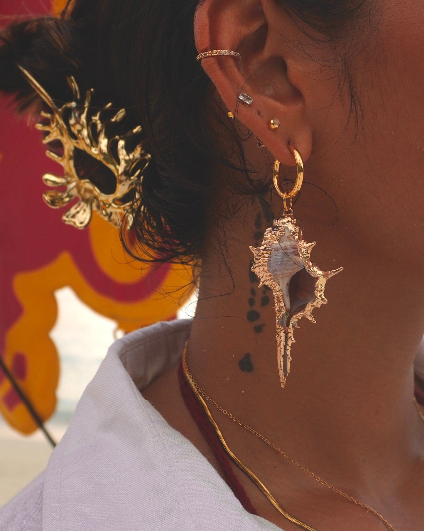 The Conch Drop