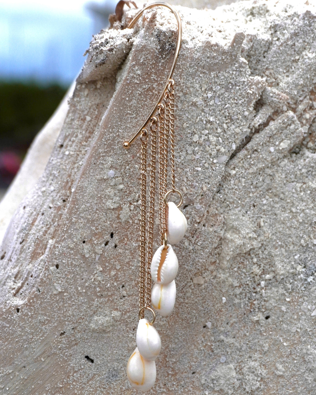 The Swinging Cowrie