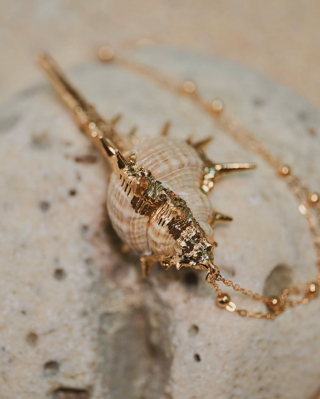 The Striking Conch