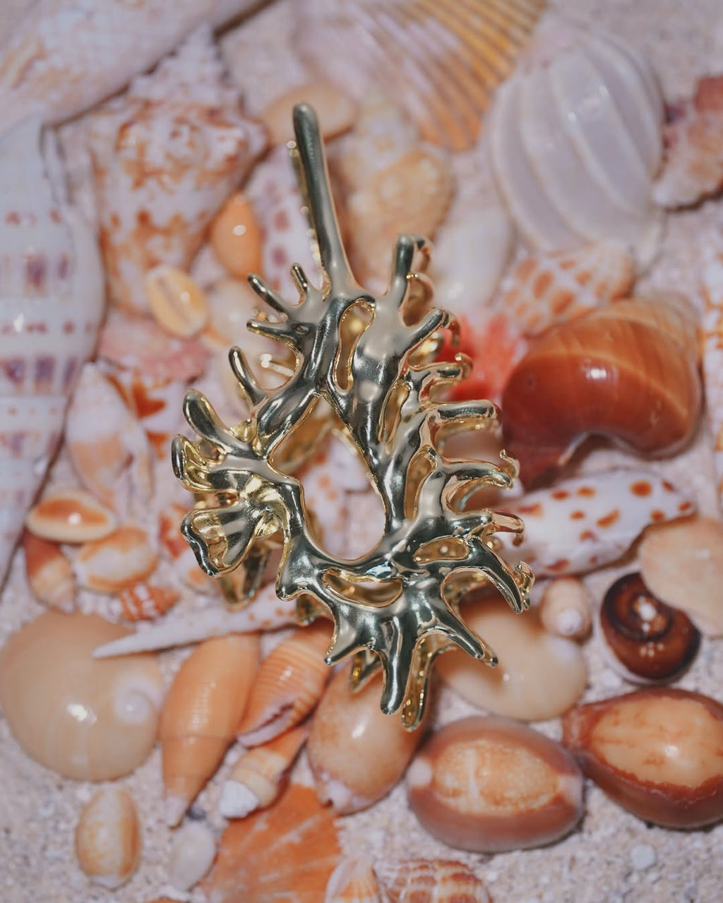 The Conch Crown