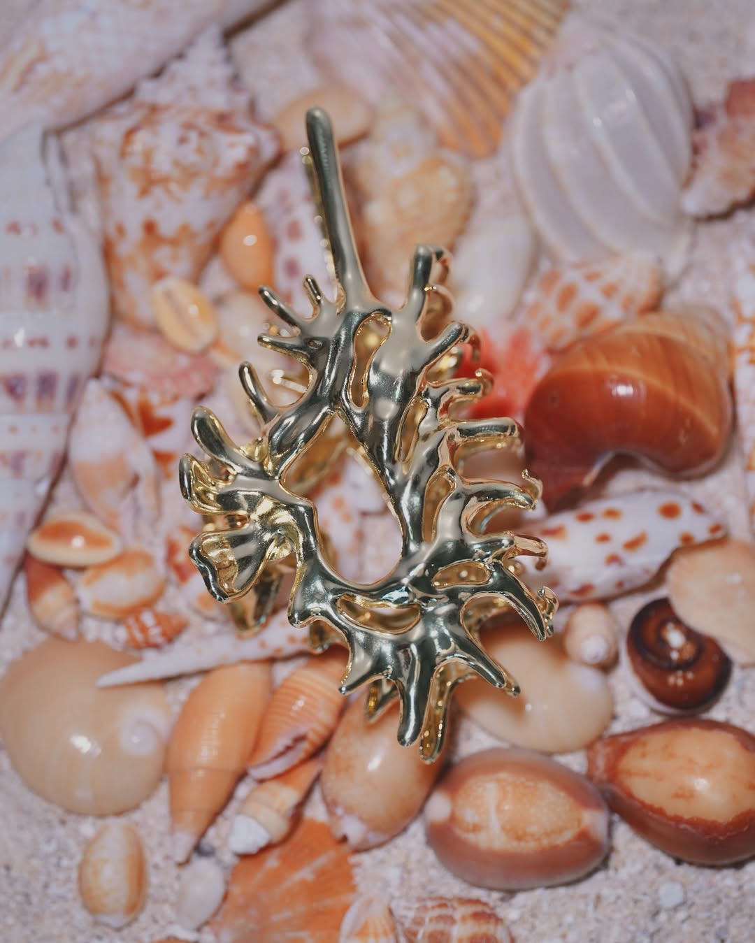 The Conch Crown