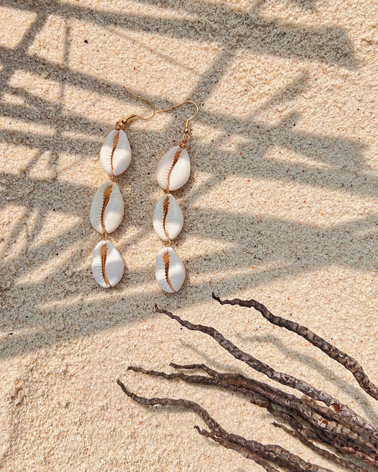 The Cowrie Statement