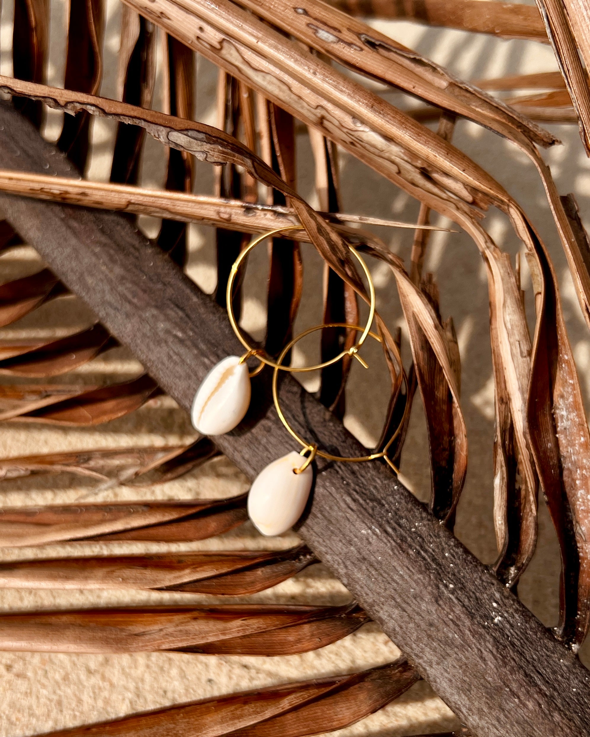 The Gilded Cowrie