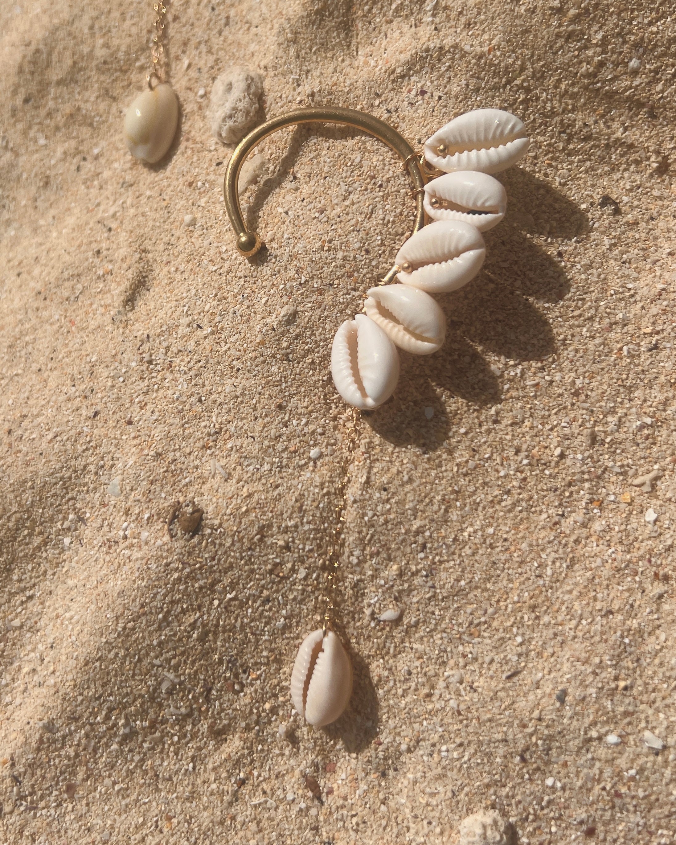 The Swinging Cowrie