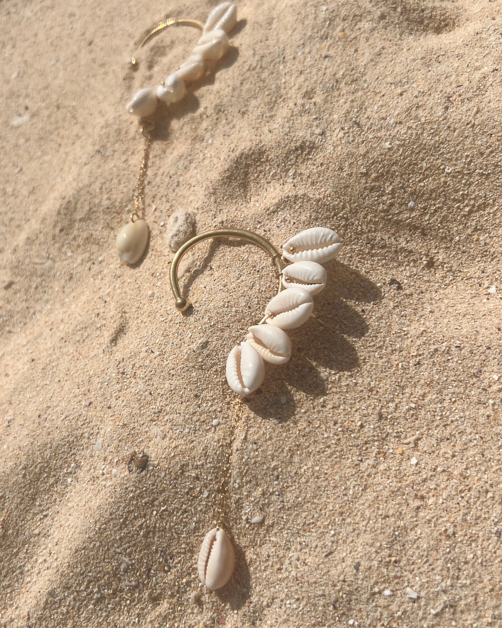 The Swinging Cowrie