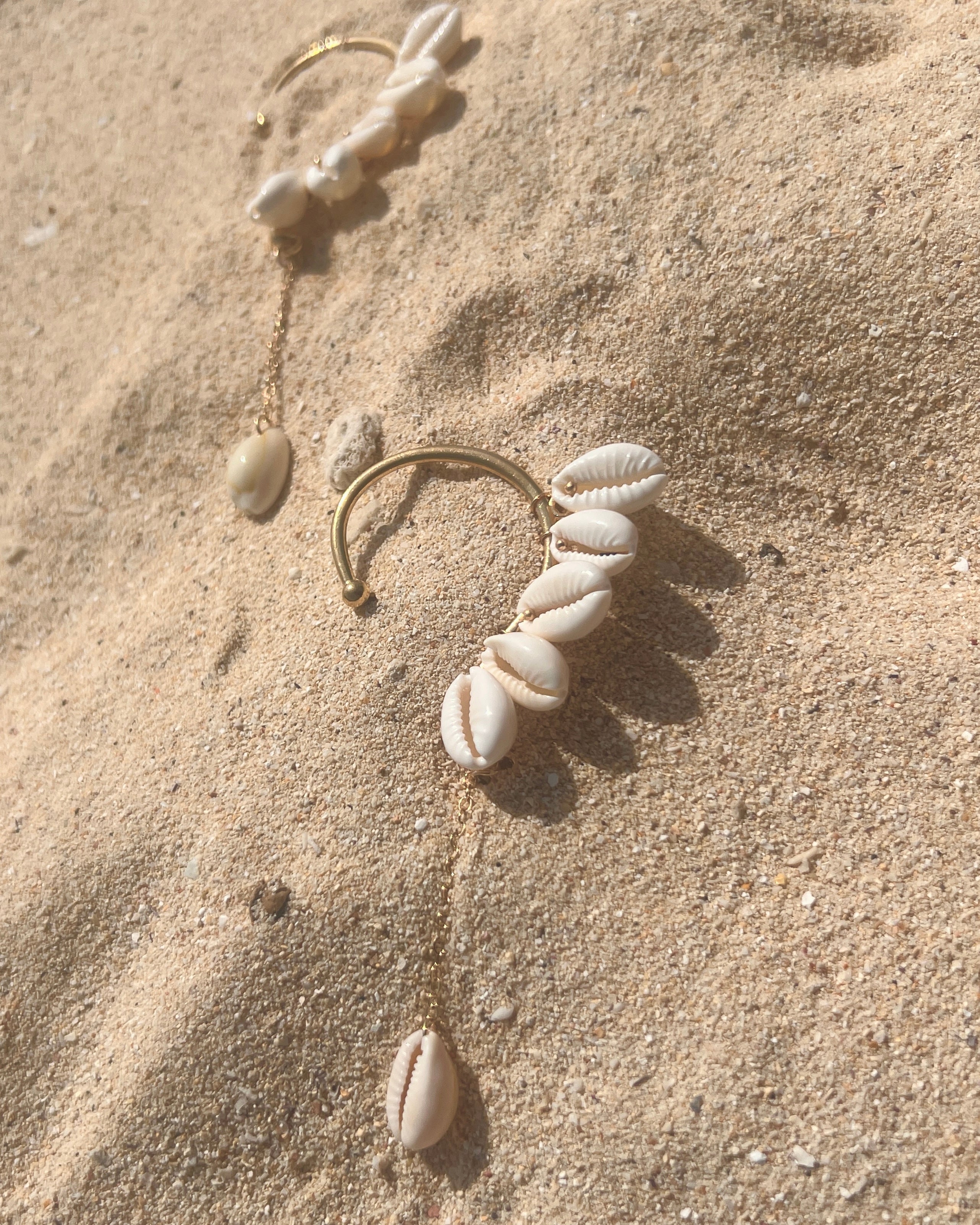 The Swinging Cowrie