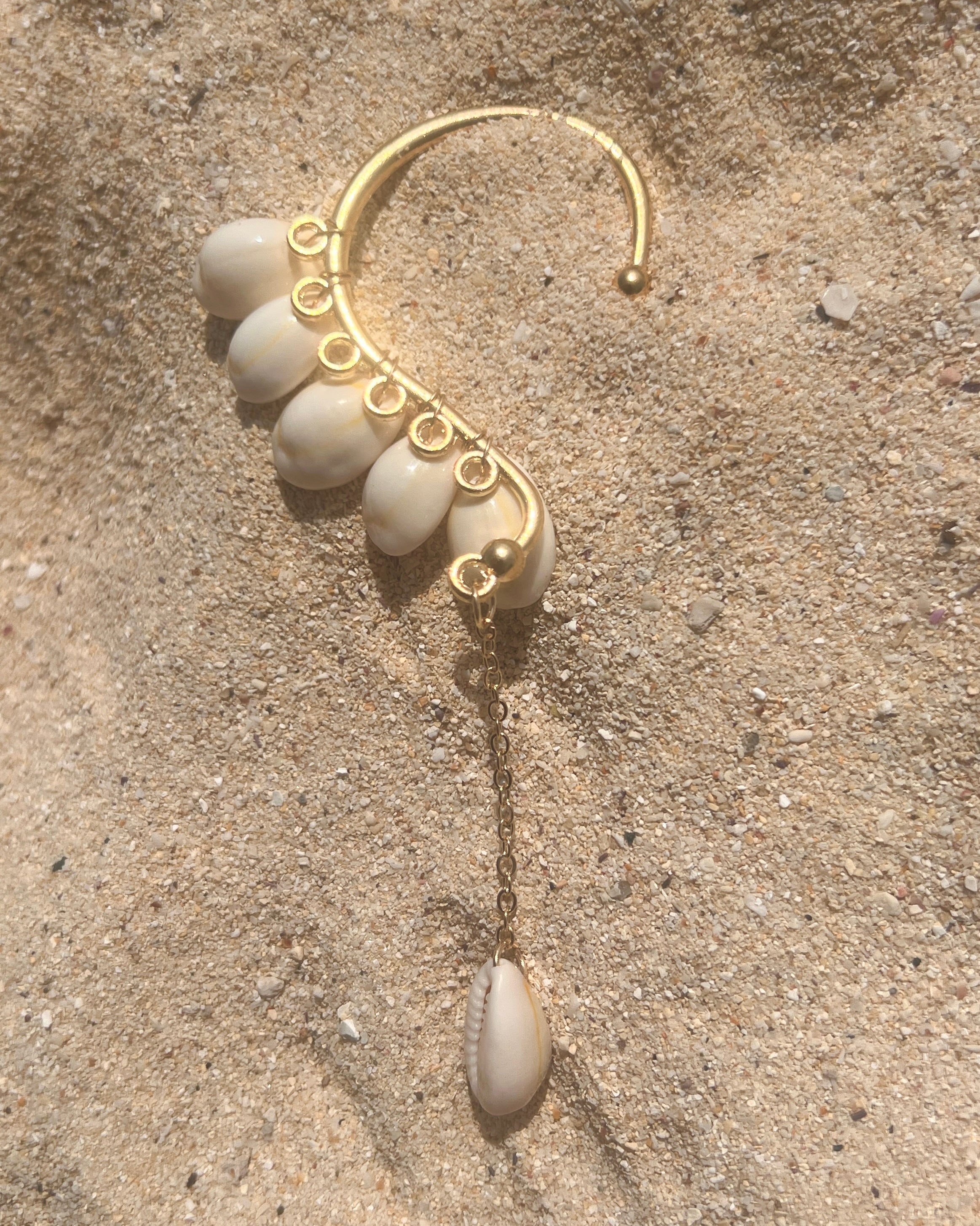 The Swinging Cowrie