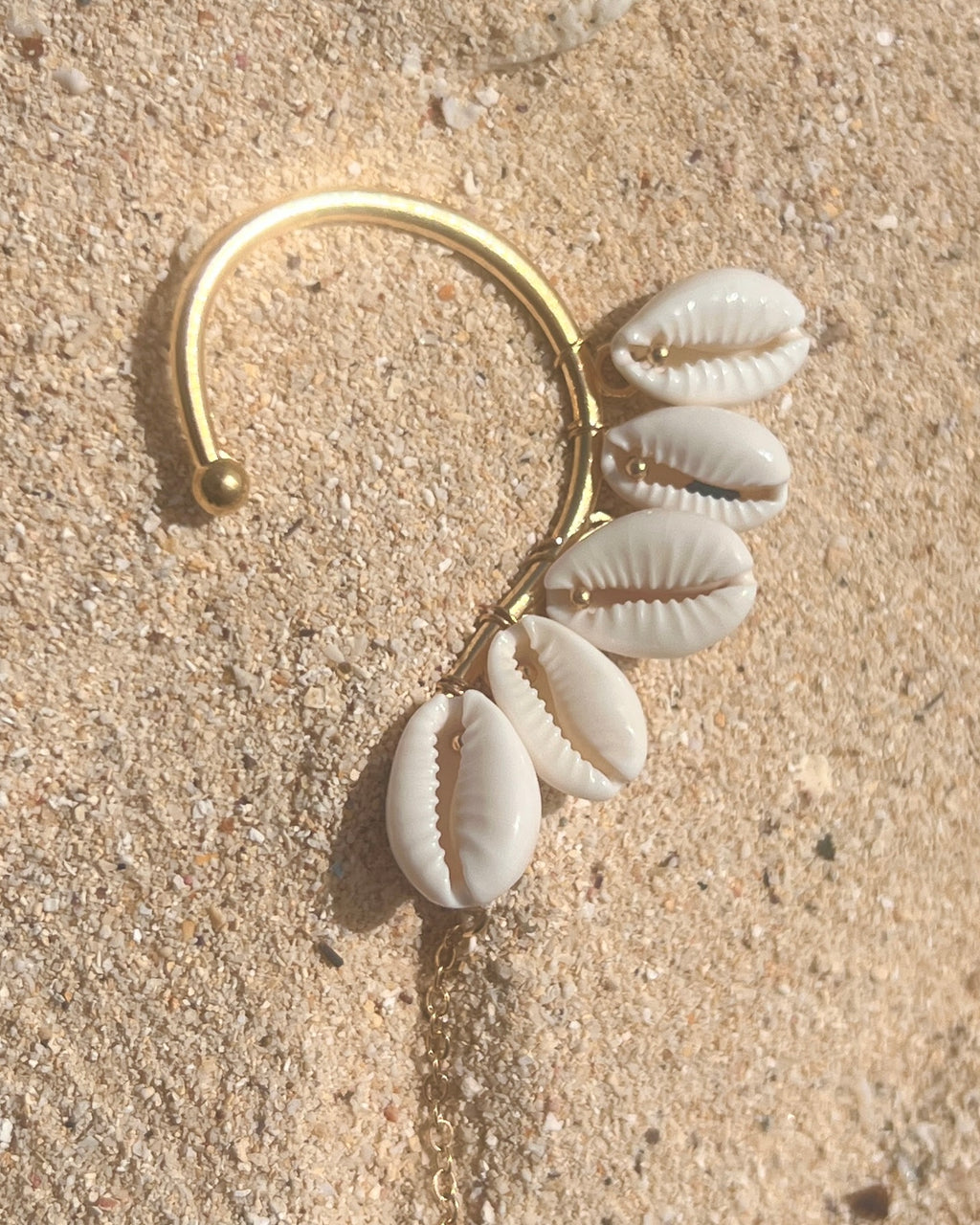 The Swinging Cowrie