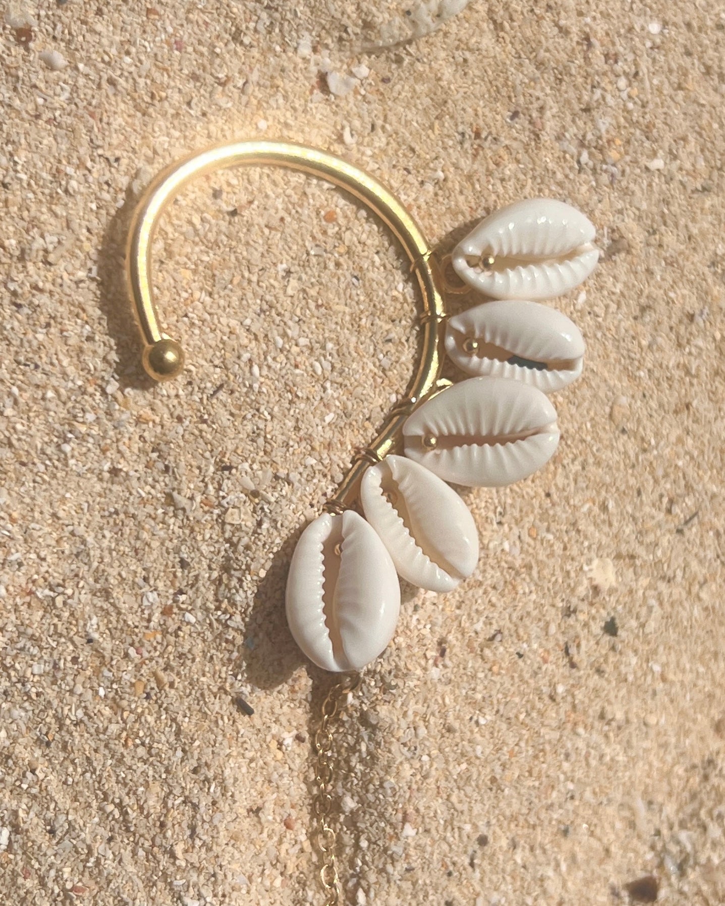 The Swinging Cowrie
