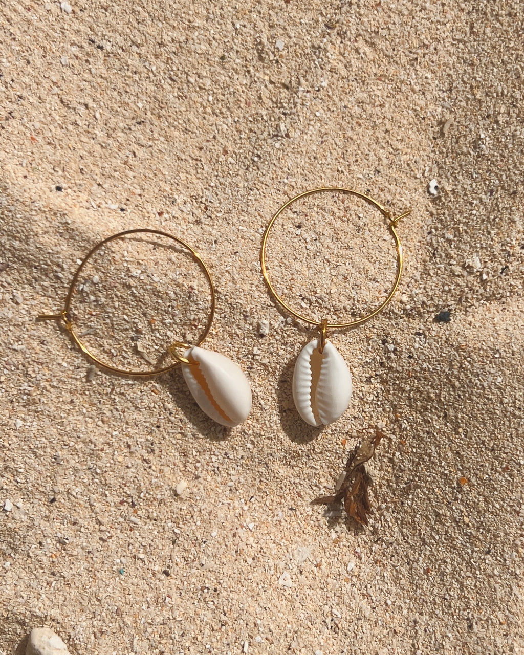 The Gilded Cowrie
