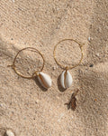The Gilded Cowrie
