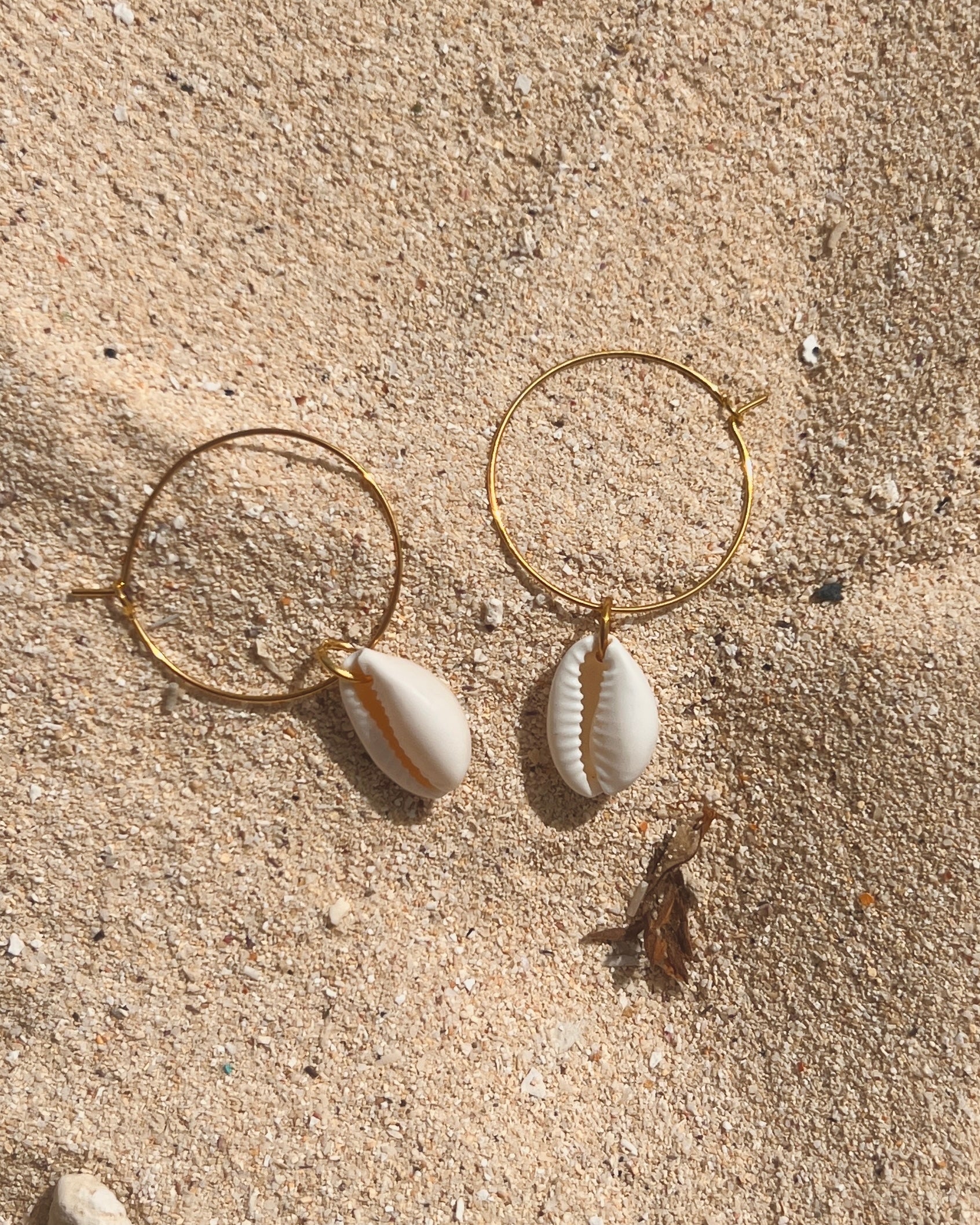 The Gilded Cowrie