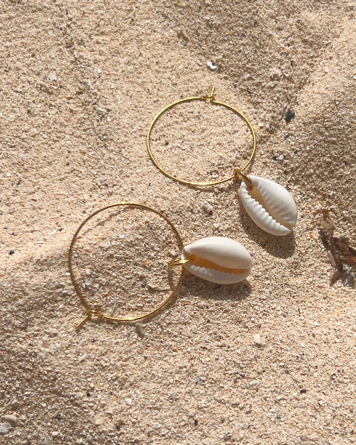 The Gilded Cowrie