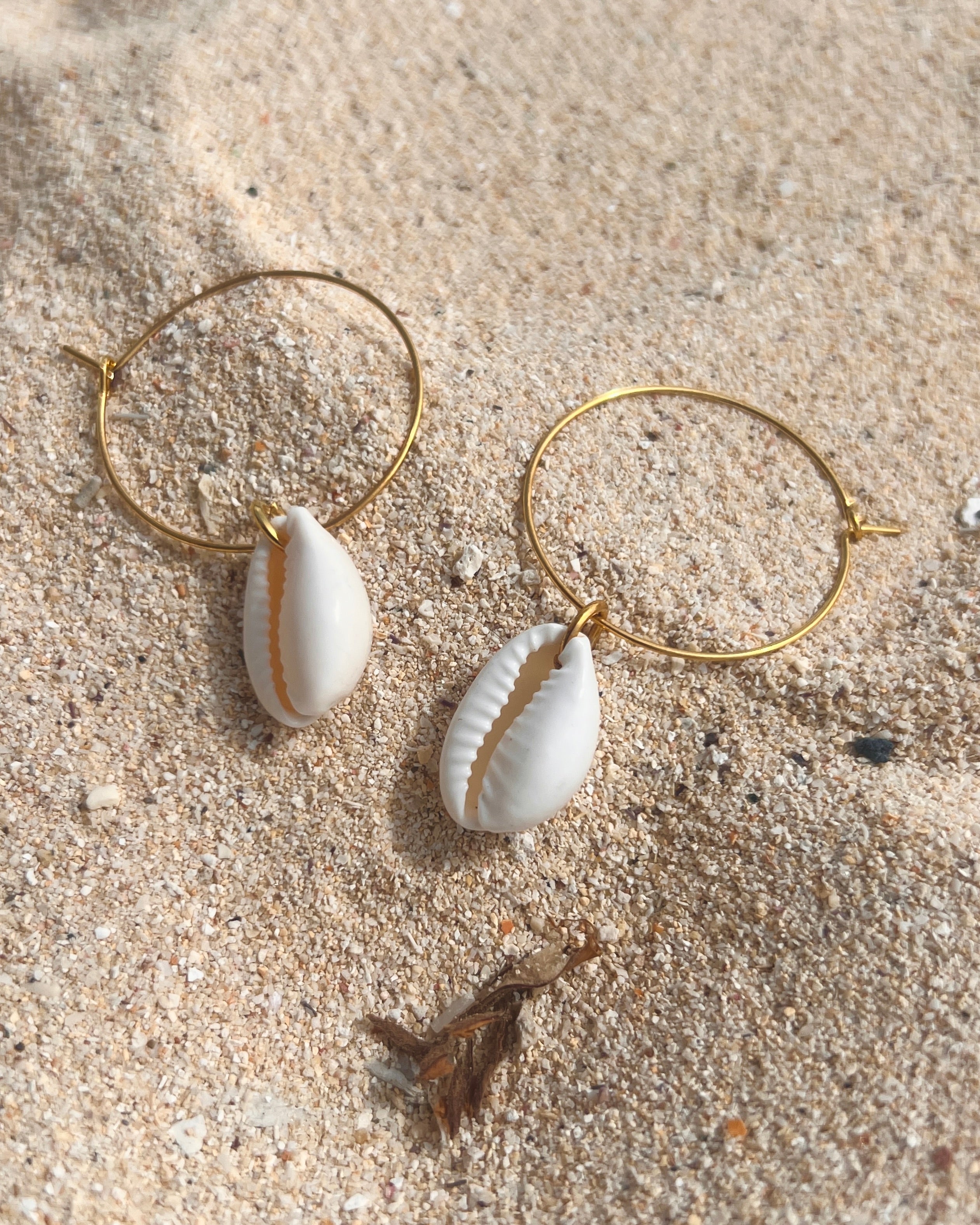 The Gilded Cowrie