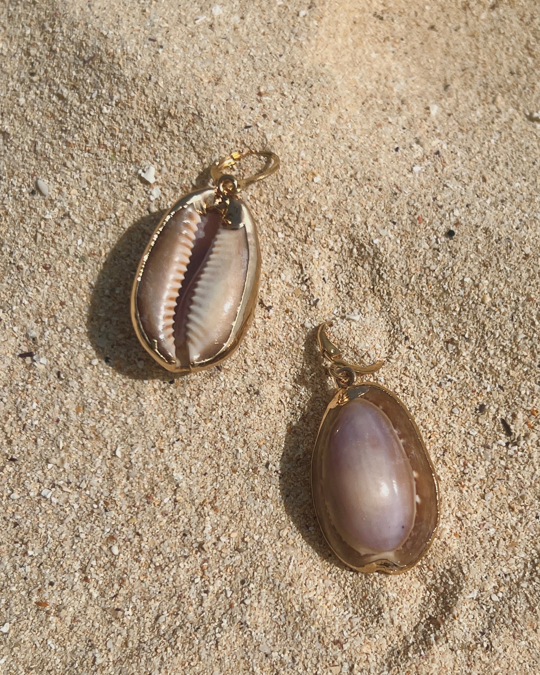 The Moonlit Cowrie