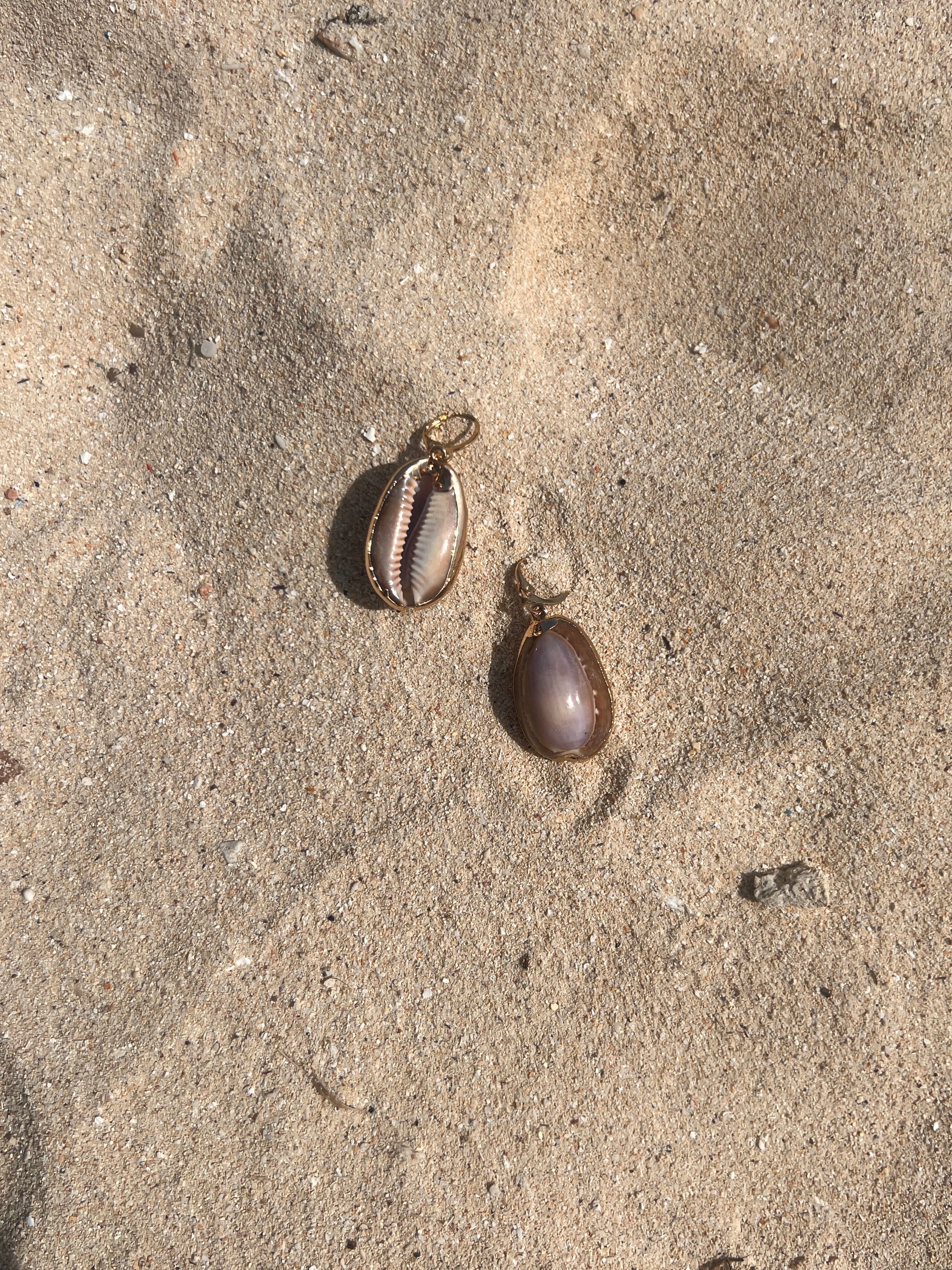 The Moonlit Cowrie
