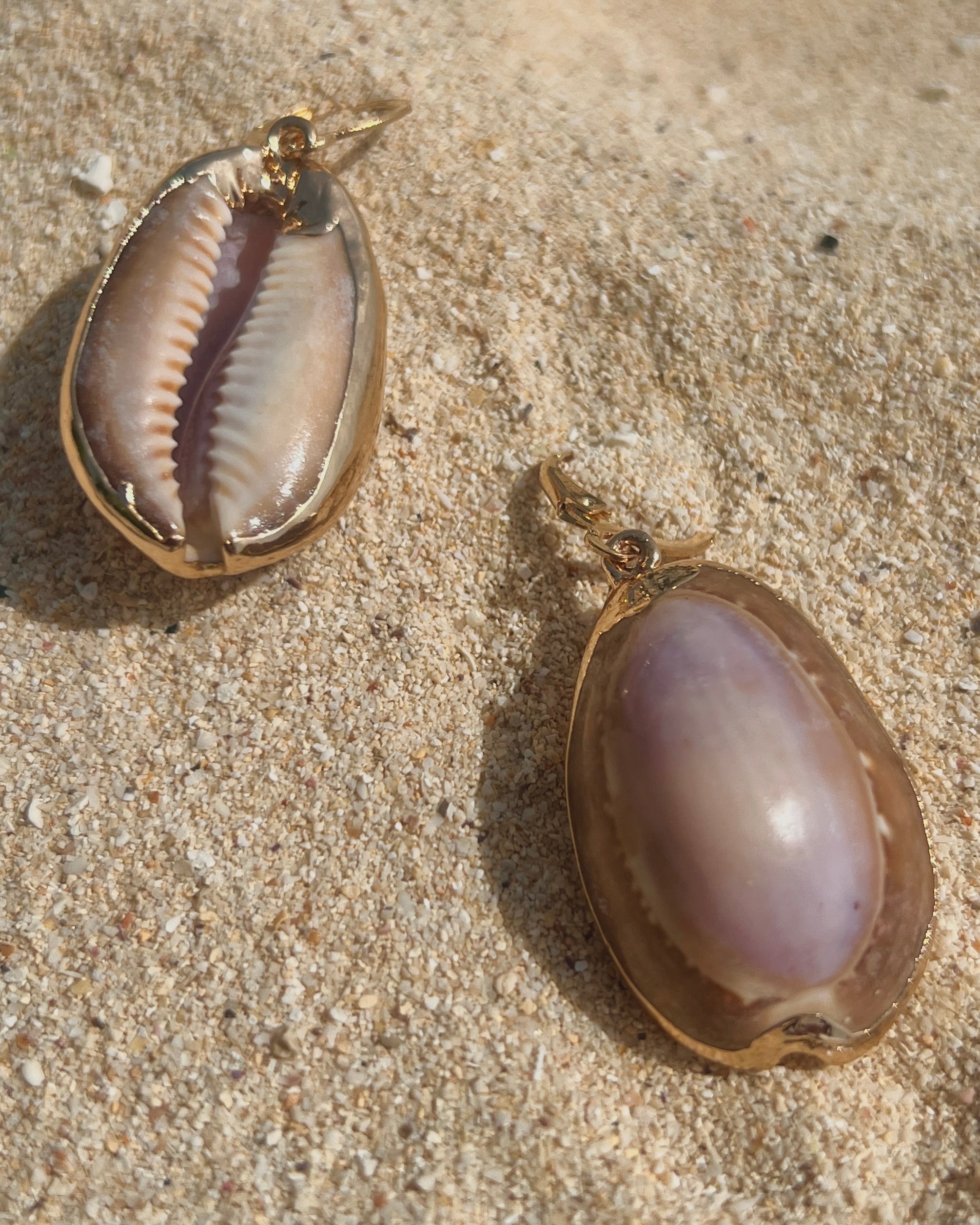 The Moonlit Cowrie