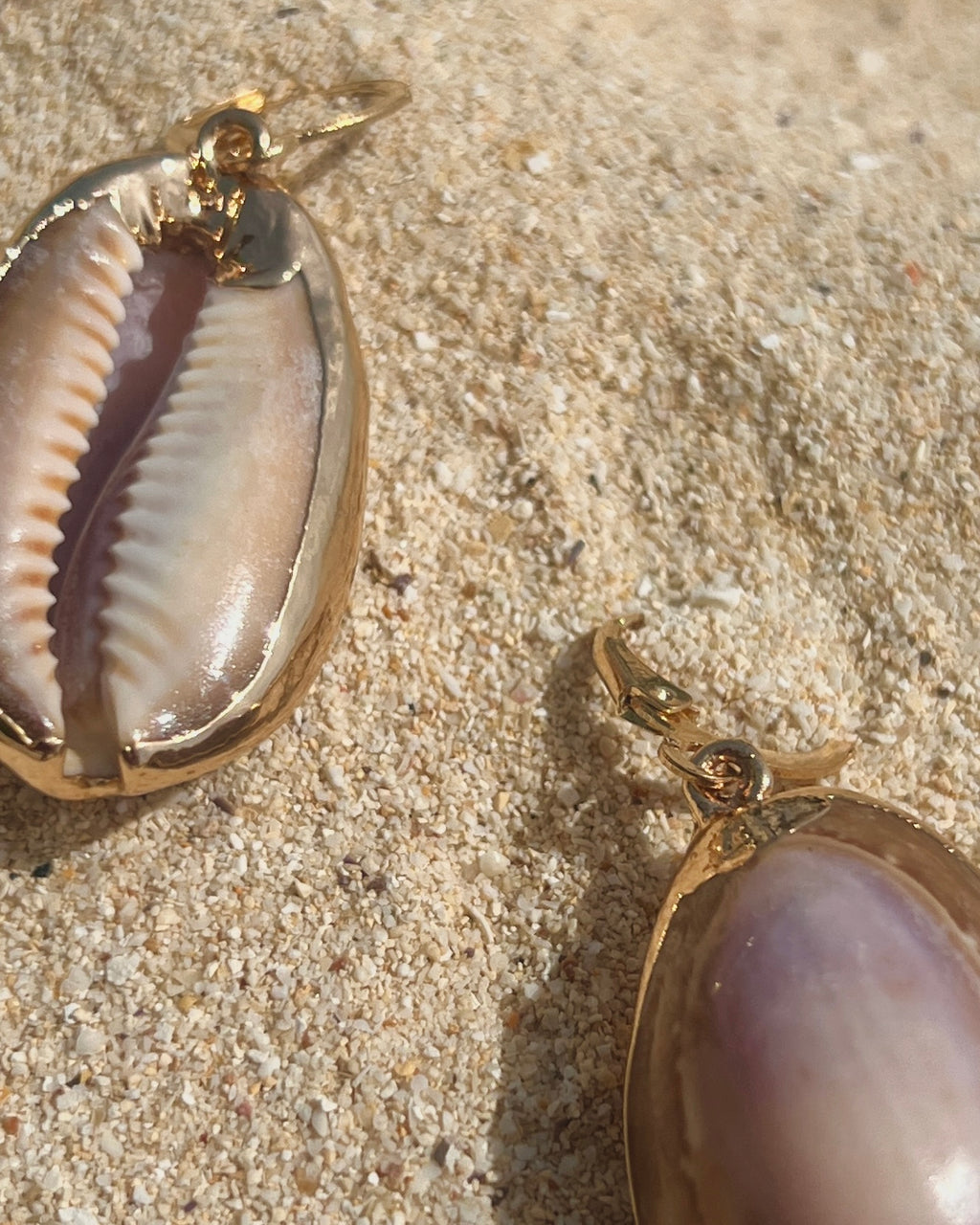 The Moonlit Cowrie