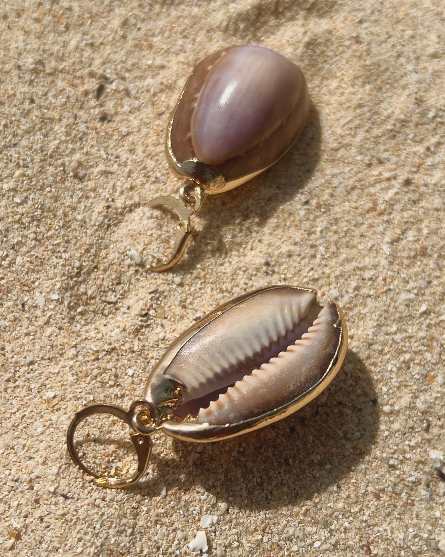 The Moonlit Cowrie