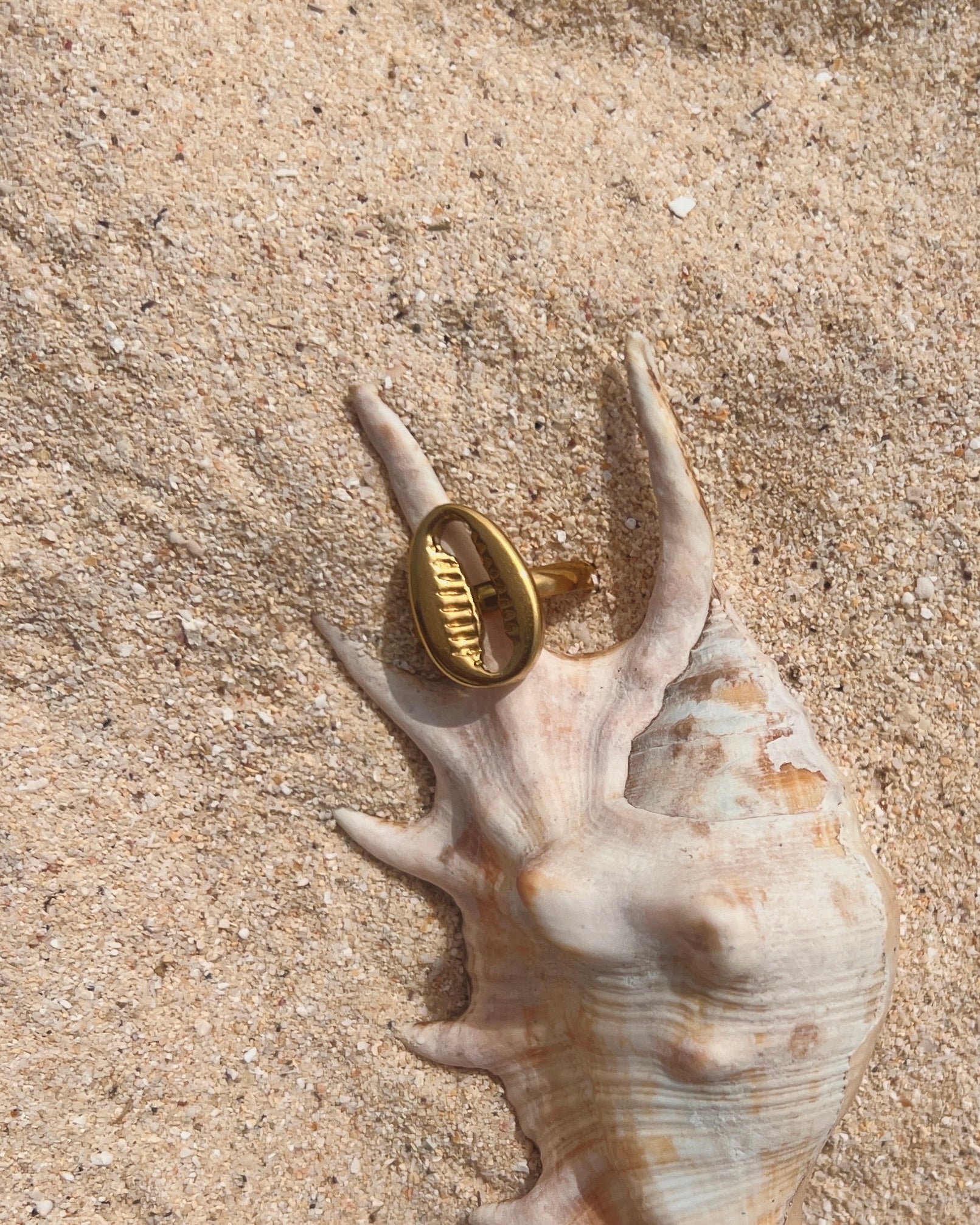 The Cowrie Seal