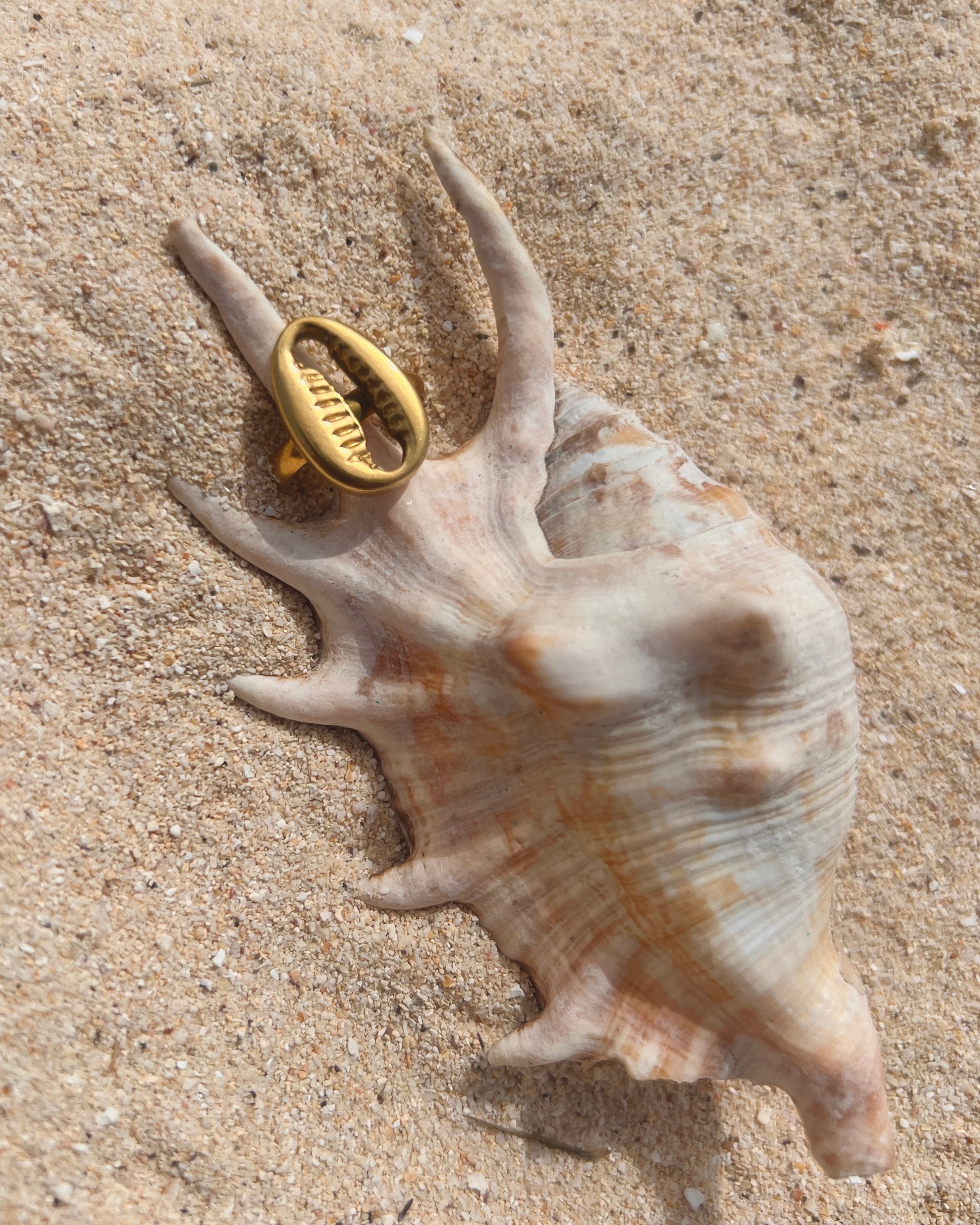 The Cowrie Seal