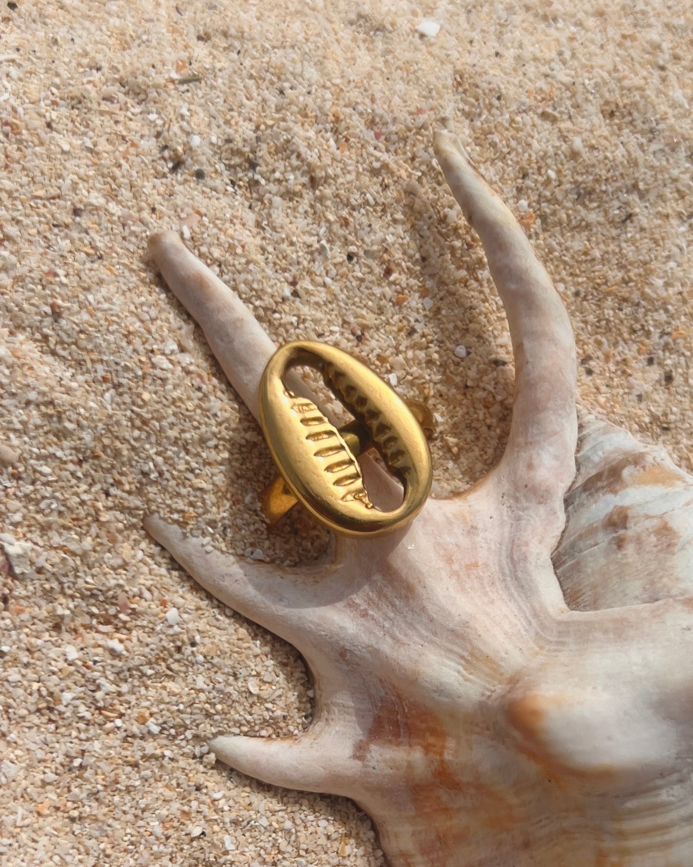 The Cowrie Seal
