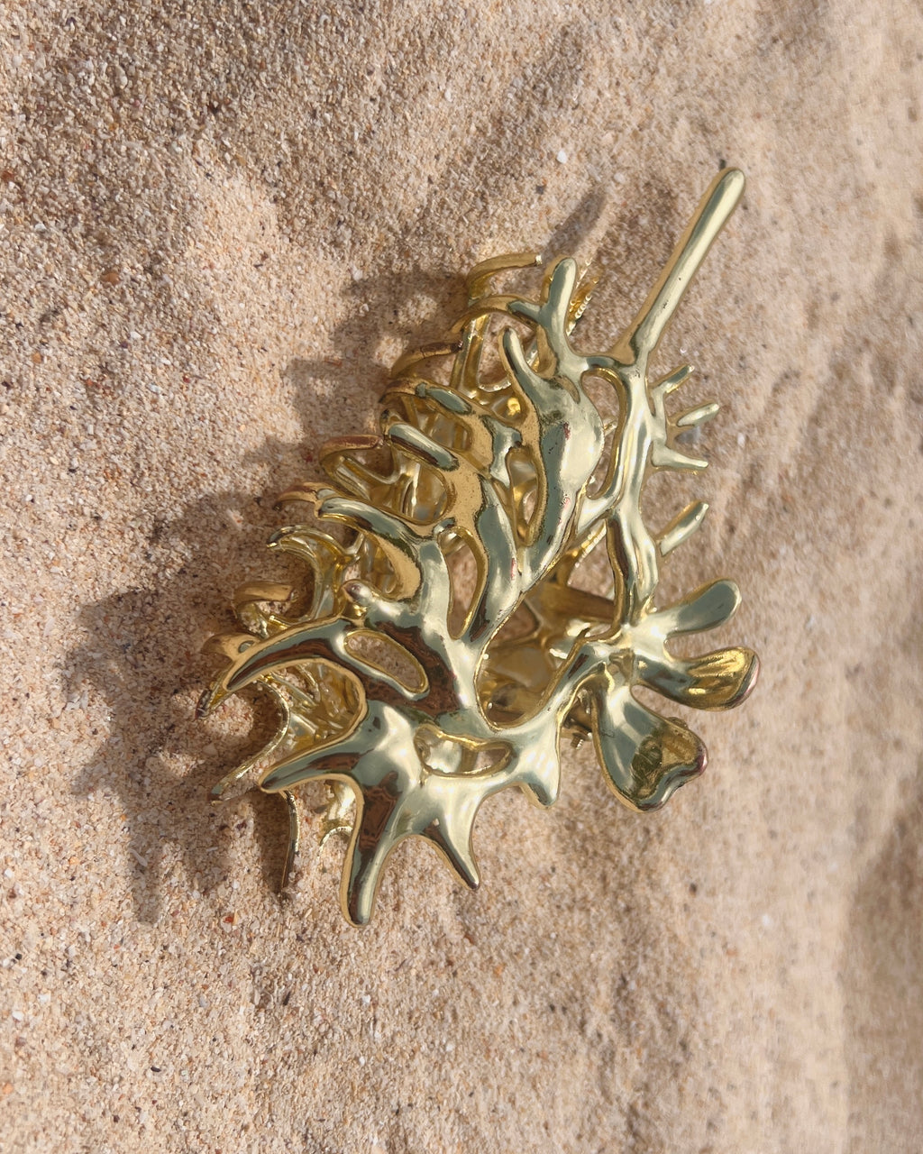 The Conch Crown
