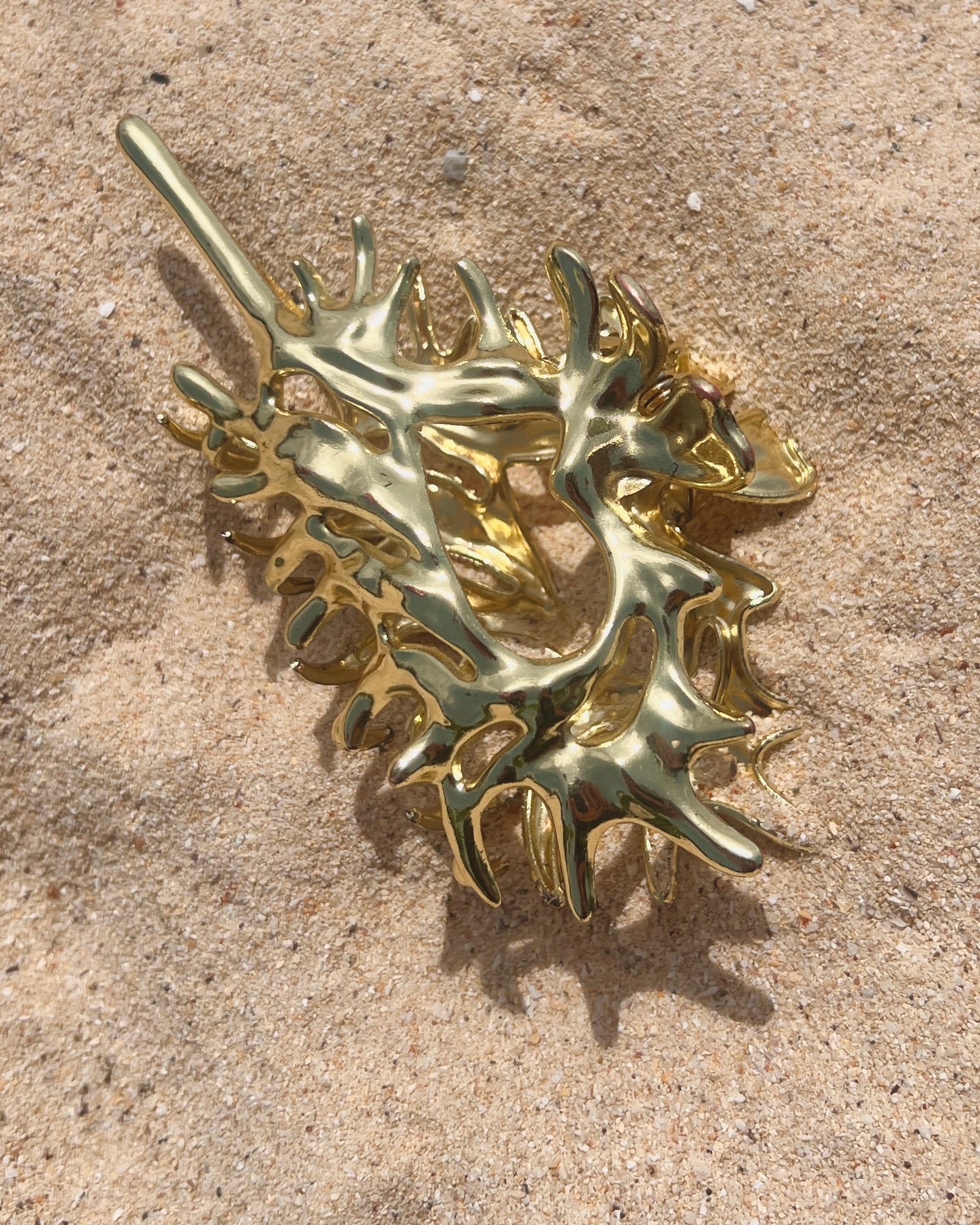 The Conch Crown