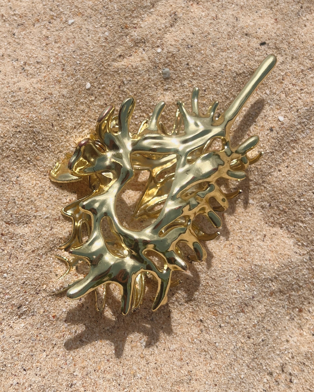 The Conch Crown