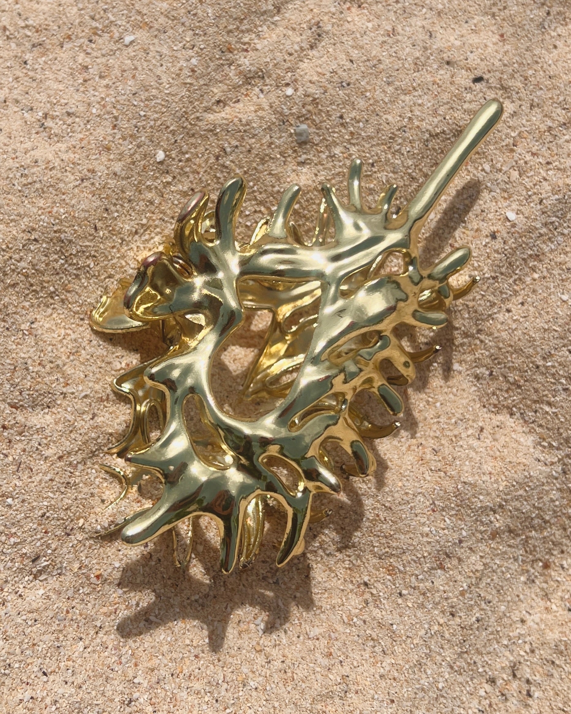 The Conch Crown