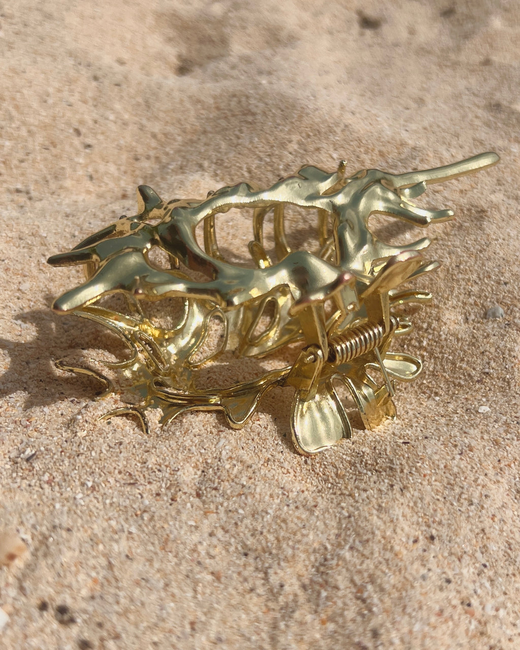 The Conch Crown