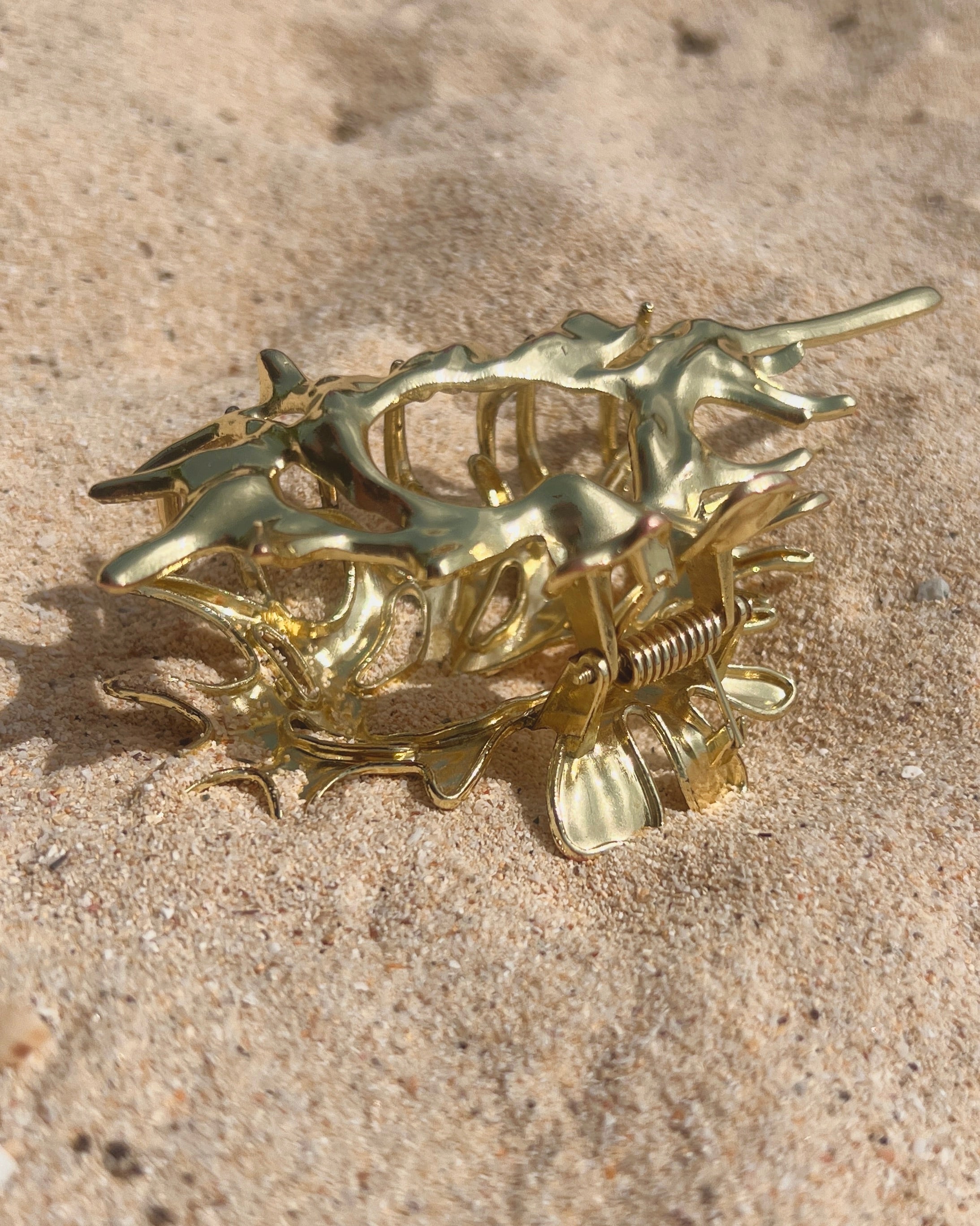 The Conch Crown