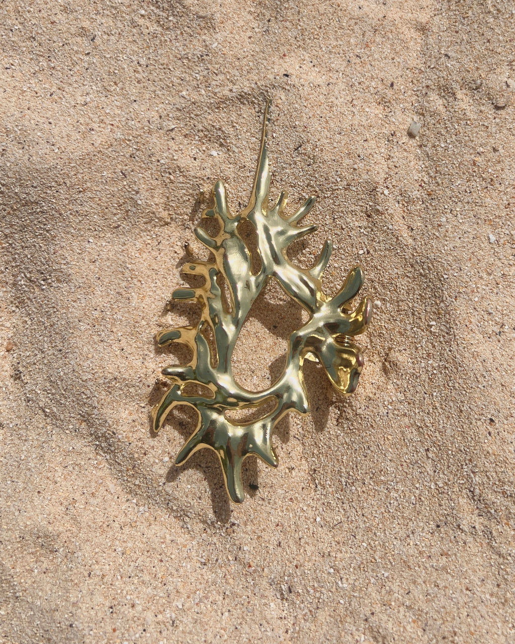 The Conch Crown