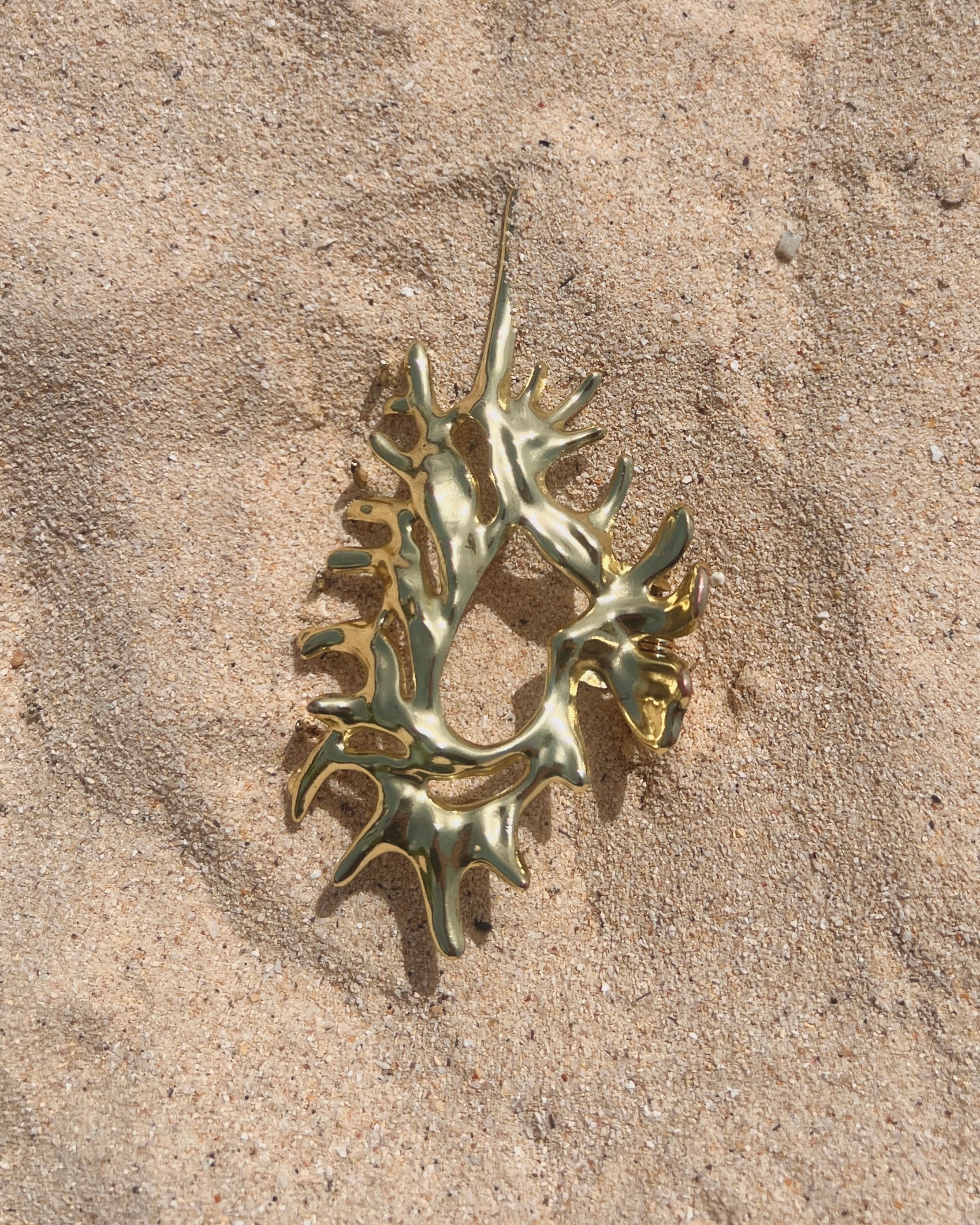 The Conch Crown