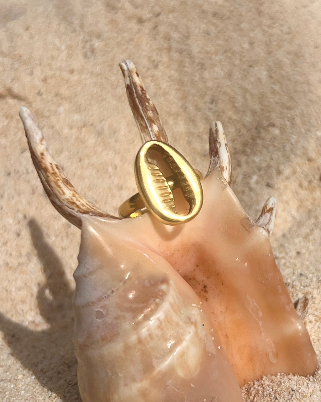 The Cowrie Seal