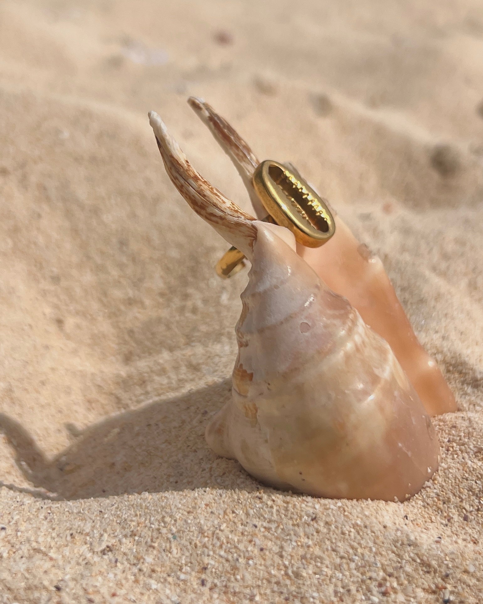 The Cowrie Seal