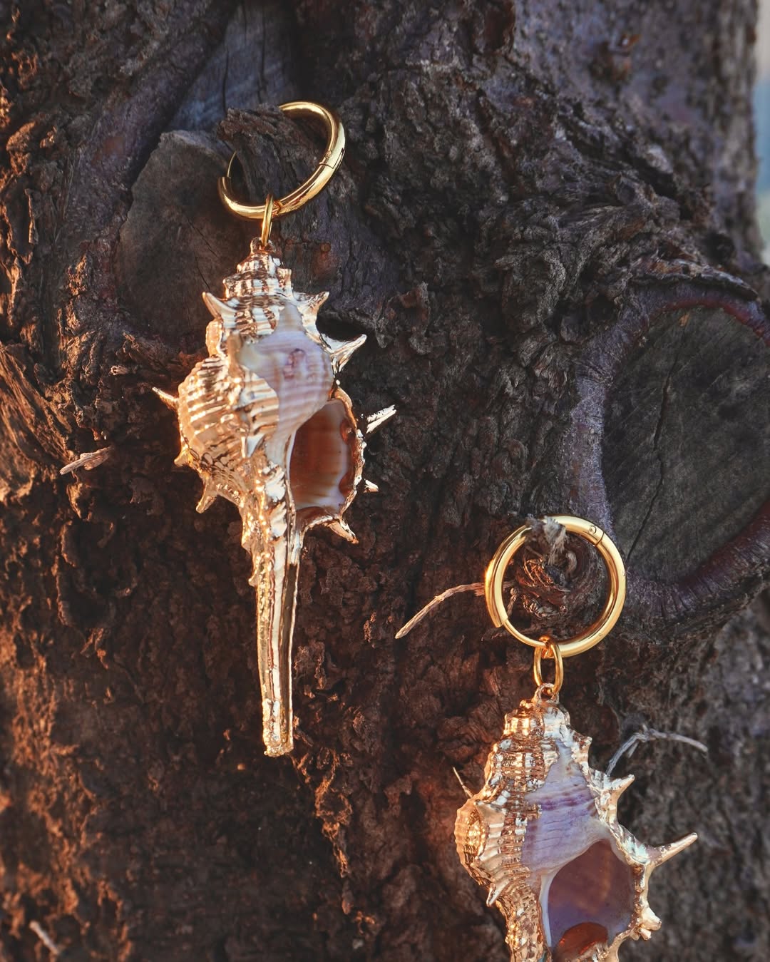 The Conch Drop