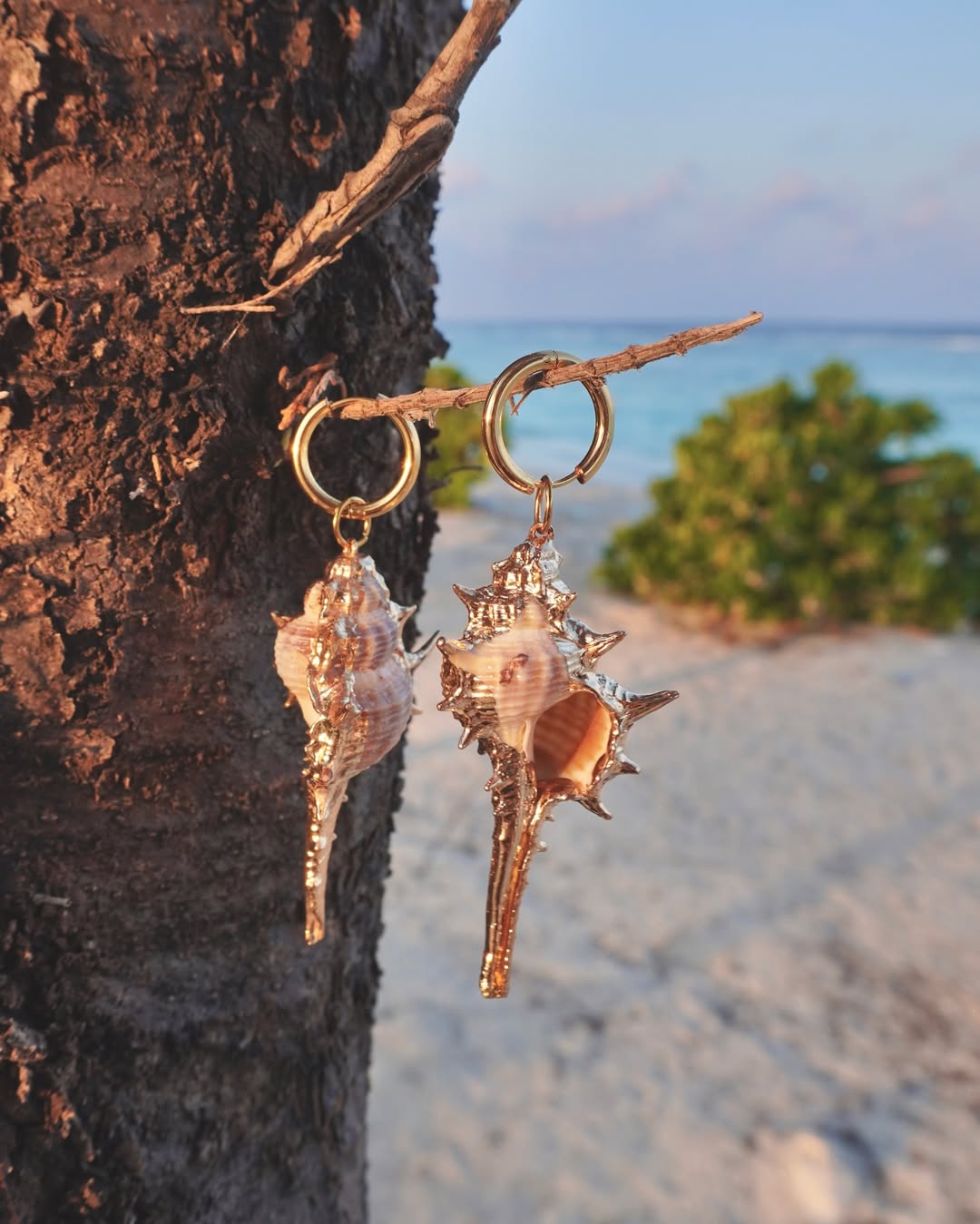 The Conch Drop
