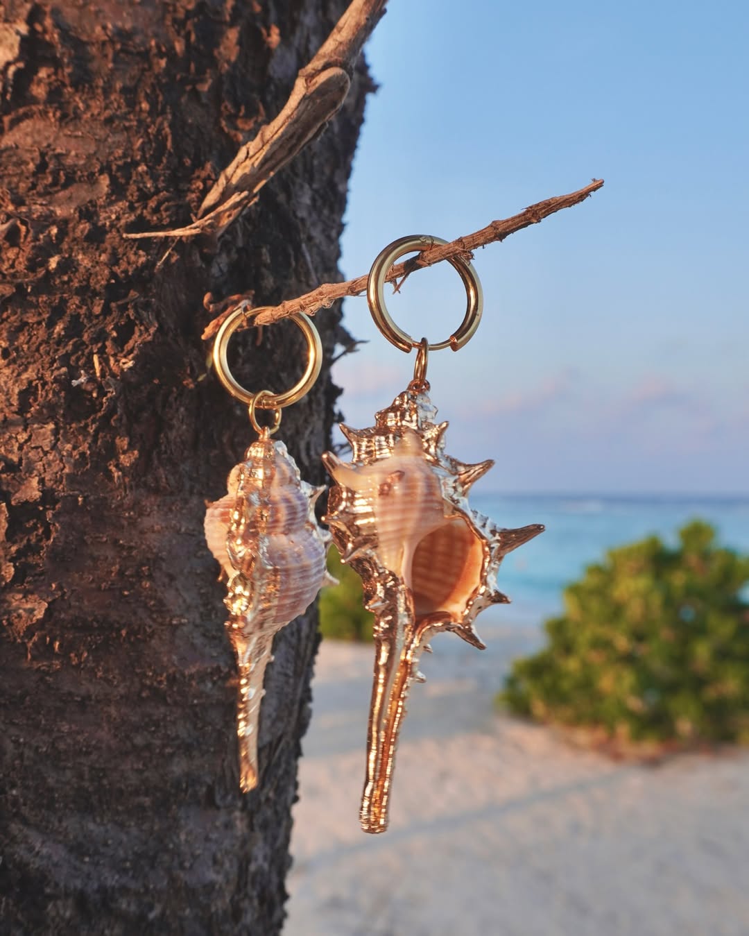 The Conch Drop