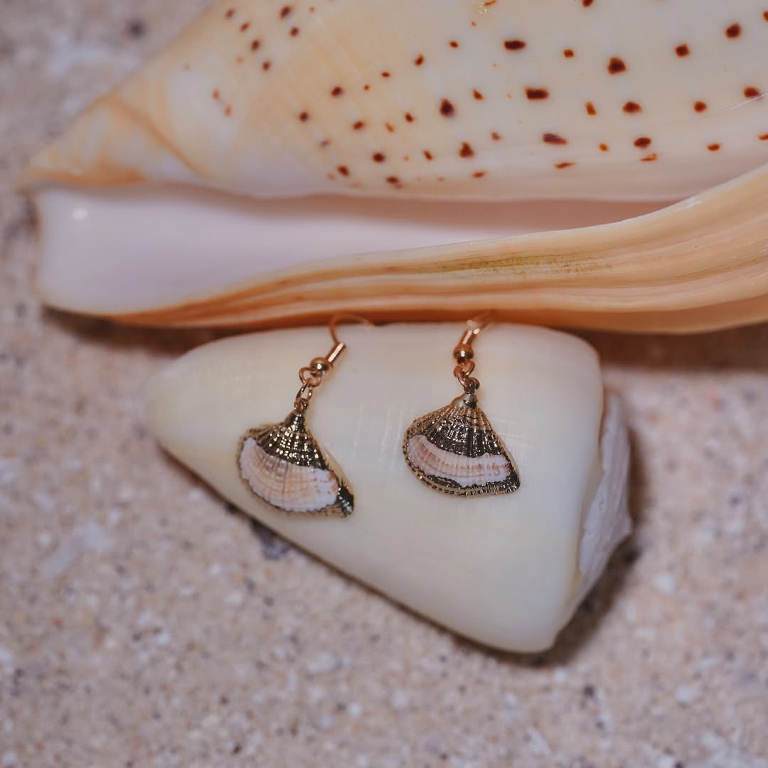 The Gold Drip Clam