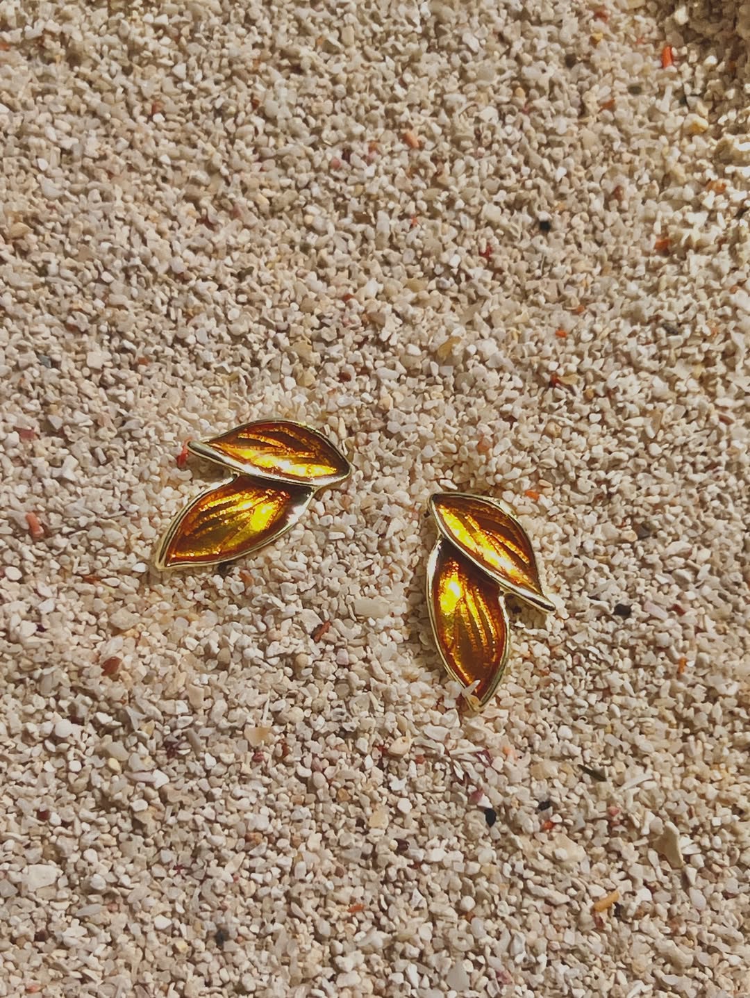 The Daylit Leaf